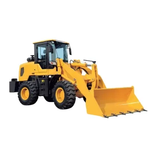 Small Wheel Loader