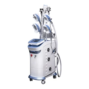 5 in 1 Cryolipolysis