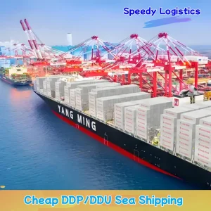 Sea Shipping Agent to Cambodia, Spain, Germany, Thailand, Brazil, Malaysia Logistics Shenzhen Warehouse Freight Forwarder Agent Forwarding Service