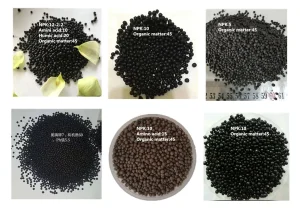 Organic Fertilizer