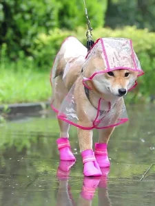 Roupas para animais de estimação transparentes e impermeáveis EVA para atividades ao ar livre, capa de chuva para cães