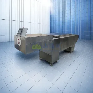 High-Quality Body Charging System with Long-Lasting Durability for Cremation Machine Application