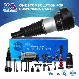 Zeekr 001 Damper