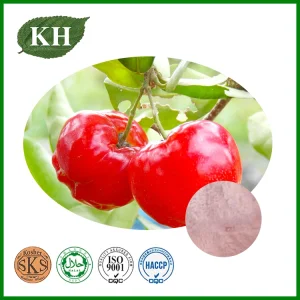 Extrato Natural de Acerola Cherry