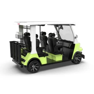 Factory Direct 2025 Lsv Agv Electric Golf Cart Street Legal DOT Certified