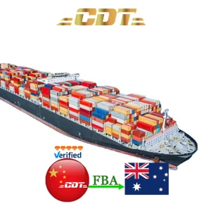 Professional Door to Door Sea Air Freight FCL China to USA Europe