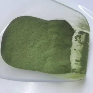 Ulva Lactuca Powder