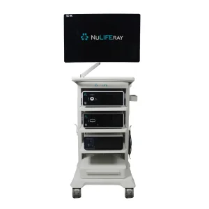 Fluorescence Endoscope