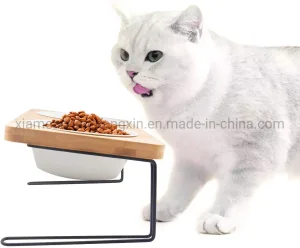 Elevated Cat Ceramic Bowls