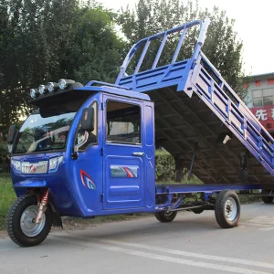 Triciclo Eléctrico 3 en 1