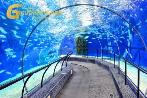 Shower Door Glass Belgium