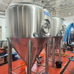 Cassman 1000L 2000L Conical Jacketed Fermenter Stainless Steel 304 Commercial Beer Brewing Equipment With Pump