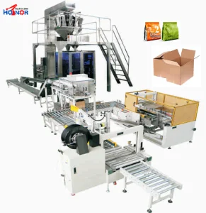 Automatic Bag Filling Carton Erecting Machine