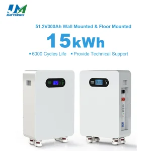 OEM Lithium Battery