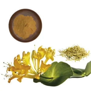 Honeysuckle Extract Chlorogenic Acid Powder