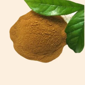 Vasaka Herbal Dry Extract Powder