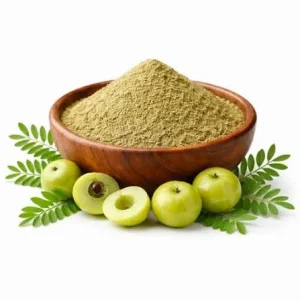 Gooseberry Powder Food Grade Herbal Ingredient Rich in Natural Nutrition for Health Foods Beverages Nutraceuticals Wellness