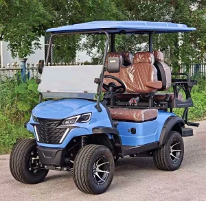 Street Legal Golf Cart Lsv Electric