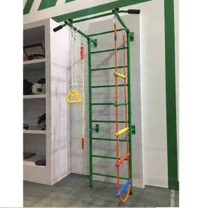 Kids Home Gym Swedish Wall Ladder Indoor Adventure Facility Jungle Gym Sports Kids Toys Kids Pull up Monkey Bar for Wholesale