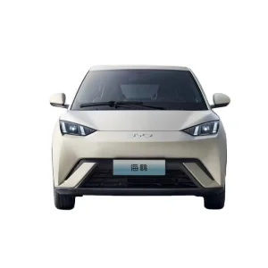 Best BYD Seagull Electric Car