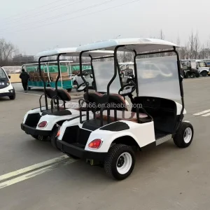 High Quality 2 Seater Lithium Battery Golf Cart Off Road Club Golf Car with Rain Canopy Suitable for Golf Courses