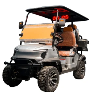 Kepler Resort Buggy