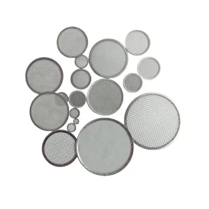 Customized 304 316 Stainless Steel Mesh Round Filter Disc 100mm Diameter 10mm Frame For Industrial Oil Filter