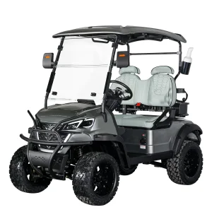 off Road Street Legal 48V Lithium Battery Karts Golf Car Hunting Buggy 2 Seater Mini Electric Golf Cart