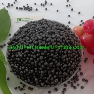 Customized Organic Fertilizer