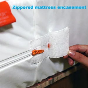 Mattress Protector