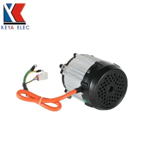1000W BLDC Motor