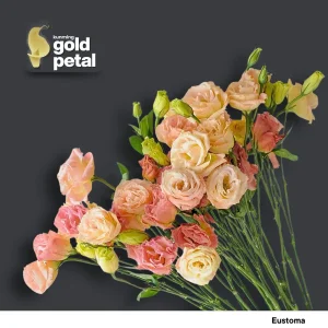 Vibrant Chinese Eustoma Bouquet - Premium Quality