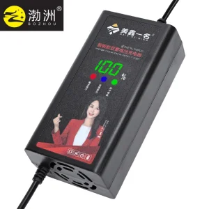 60V 20ah Smart Electric Car Charger for Rechargeable AGM Gel Lead Acid Battery 12ah 14ah DC 74V 3A T Connector