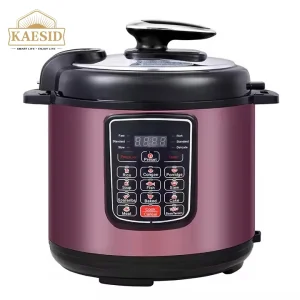 10L Commercial Cooker
