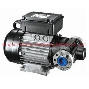 100 Lpm Fuel Transfer Pumping E120 AC 220V-240V Self Priming Vane Pumps Diesel Transfer Electric Pump with CE Portable Oil Transfer Pump