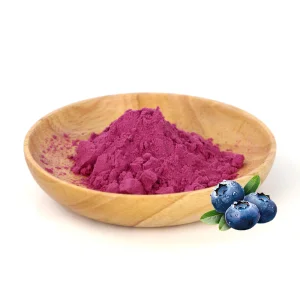Wild Blueberry Extract Powder