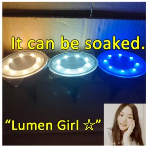 Stainless Steel Solar Light