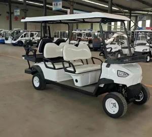 Chinese Wholesale Factory Custom Luxury Lifted Utility 4+2 Seater Seat 48V New Mini Club Golf Car Electric Golf Cart for Sale