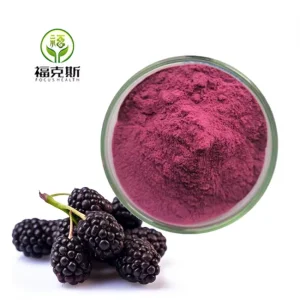 Mulberry Fruit Powder Factory Wholesale Mulberry Fruit Juice Powder Premium Plant Extract For Health &amp; Wellness