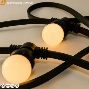 Professional Festoon Light