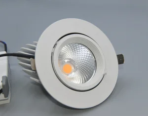 Gimbal COB Downlight