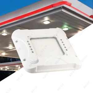 Canopy Illumination LED Light