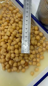 Proveedor chino OEM comida saludable garbanzos enlatados frijoles enlatados