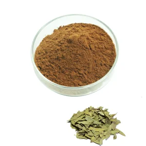 Top Quality Natural Senna Leaf Extract Powder