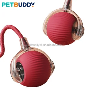 Eco-Friendly Rechargeable Interactive Ball Toy