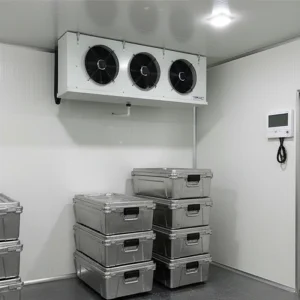 100 Ton Cold Storage for Potato Business