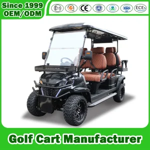 Lithium Utility Vehicle