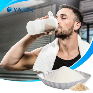 Wholesale Hydrolyzed Rice Protein Peptide Powder Non-Gmo Natural 95% Protein Content Rice Extract Rice Peptides