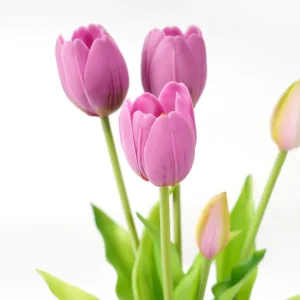 Modern Lifelike Tulips