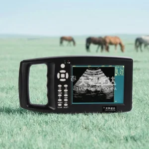 Linear Scan Vet Ultrasound